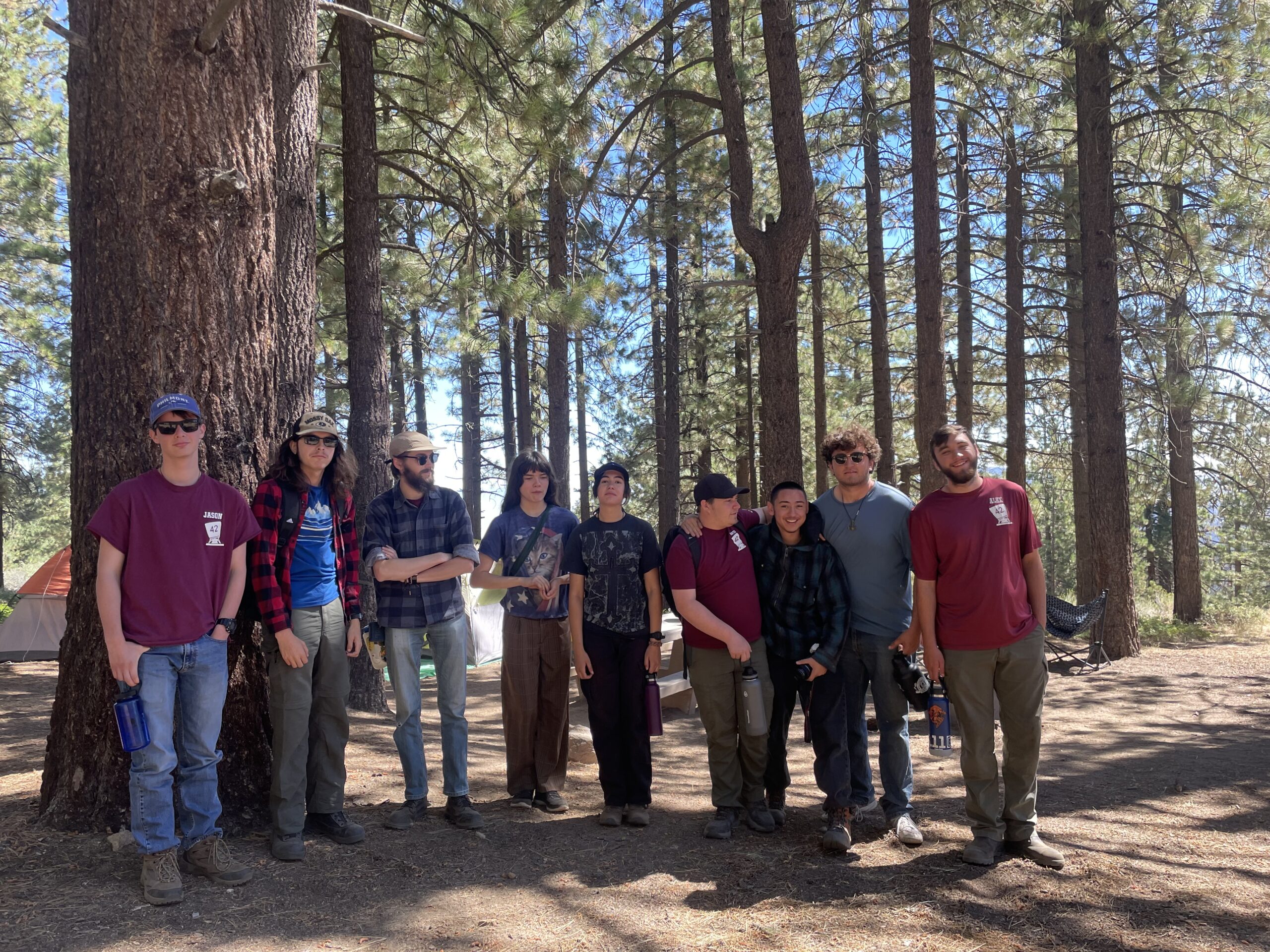 Los Padres National Forest